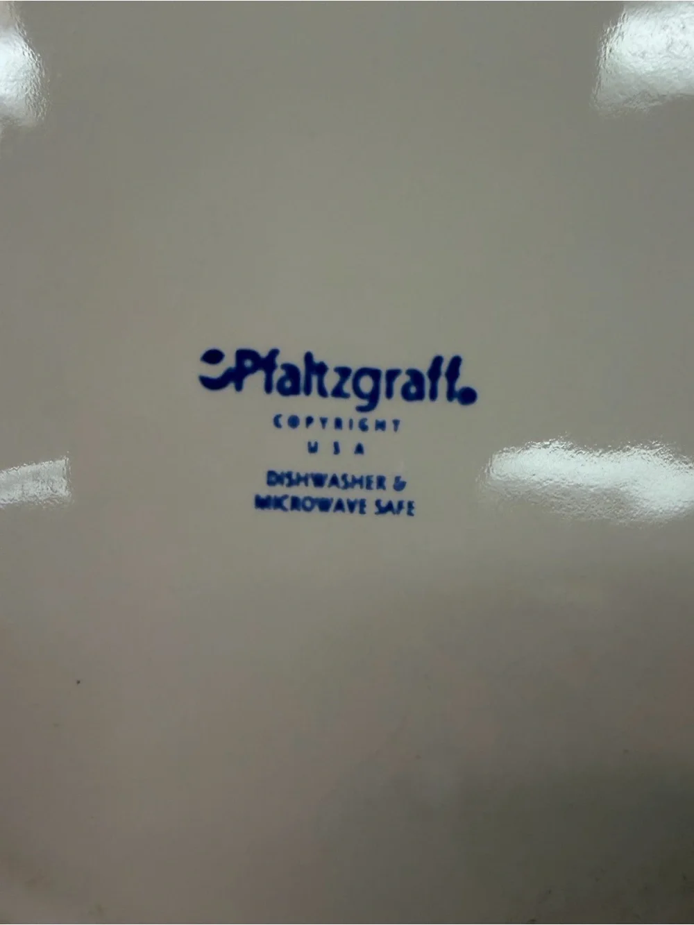Pfaltzgraff Winter Frost Holiday Dinner Plate